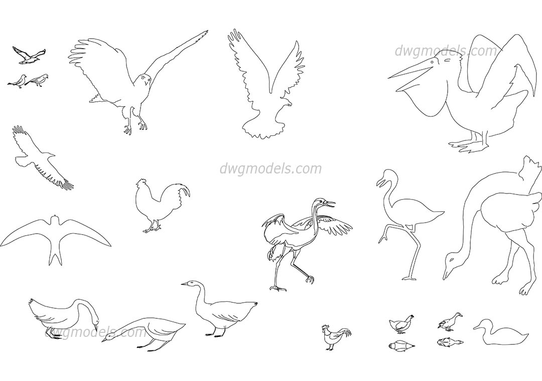 Birds dwg, CAD Blocks, free download.