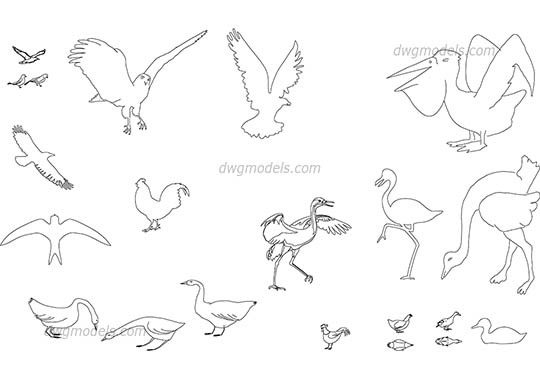 Birds - DWG, CAD Block, drawing