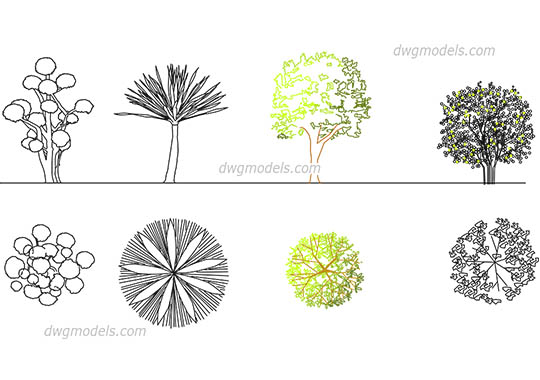 Ornamental trees dwg, cad file download free