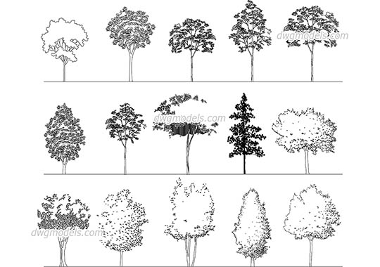 Elevation of Deciduous Trees - DWG, CAD Block, drawing