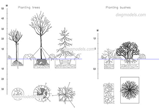 Planting Trees and Bushes - DWG, CAD Block, drawing