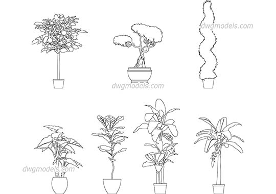 Potted Trees free dwg model