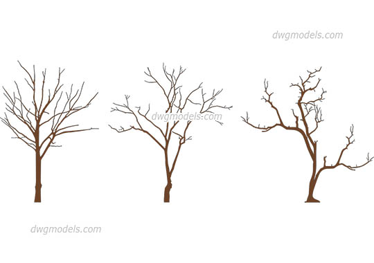 Winter Trees - DWG, CAD Block, drawing