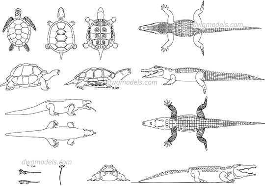 Reptiles - DWG, CAD Block, drawing