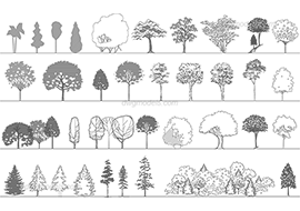 Trees 5 - DWG, CAD Block, drawing