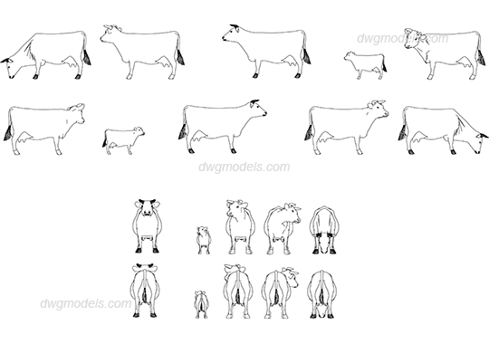 Cows dwg, CAD Blocks, free download.