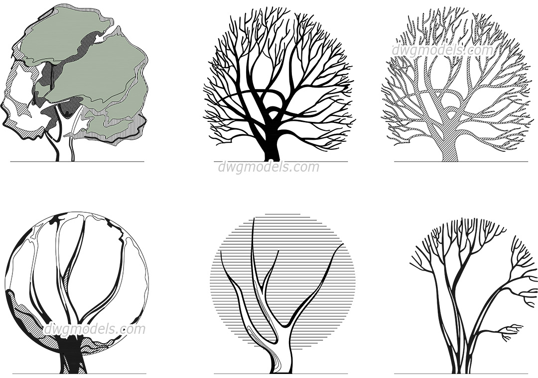 Architectural graphic Trees dwg, CAD Blocks, free download.