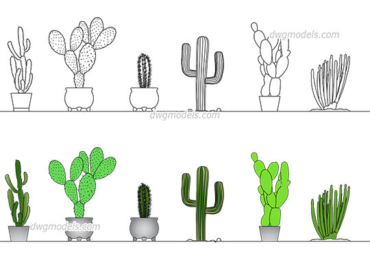 Cactus - DWG, CAD Block, drawing