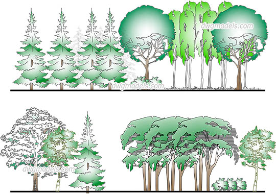 Forest - DWG, CAD Block, drawing