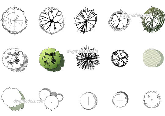 The Best Trees in Plan dwg, cad file download free