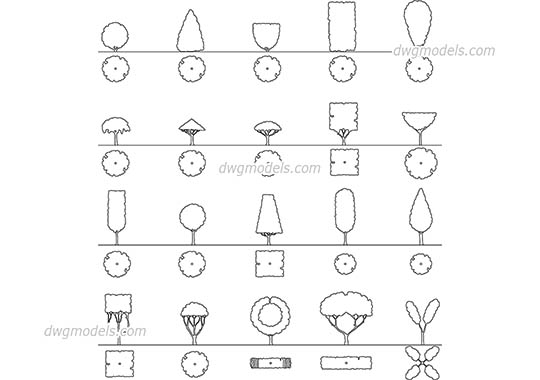 Shapes of Crowns Ornamental Trees - DWG, CAD Block, drawing