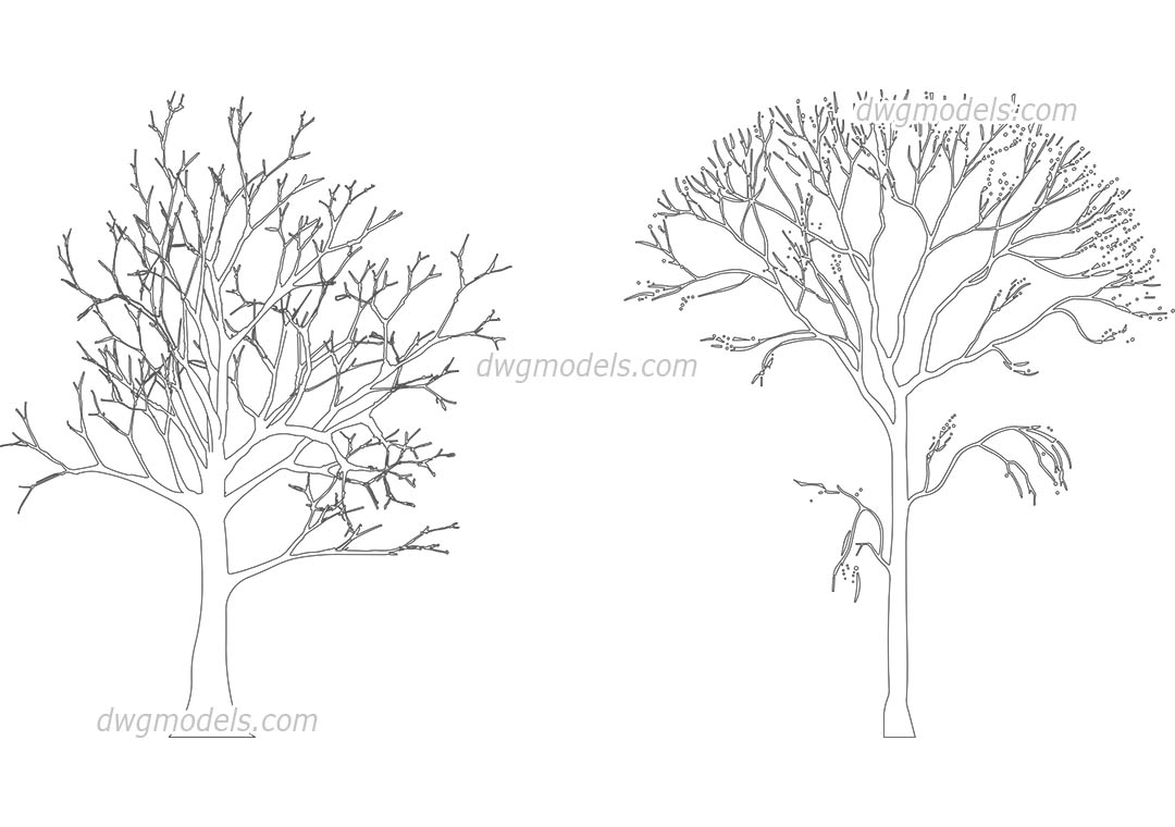 Bald Trees dwg, CAD Blocks, free download.