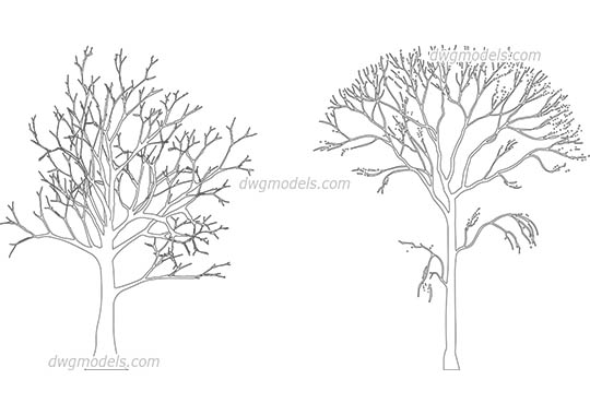 Bald Trees - DWG, CAD Block, drawing